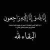 Mariam El Achir - @mariamelachir - TikTok