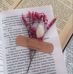 Mariam Ali - Facebook