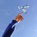 Mariam Awad - Facebook