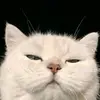 Mariam bitar - @mariam.sankari - TikTok