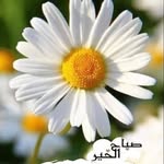 Mariam Bitar Mousa - @mariambitarmousa - Instagram