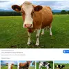 mariamclark - @mariamclark6 - TikTok