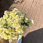 mariam gewida - @mariam__gewida - Instagram