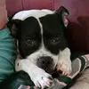 Maria Hodges - @maria.hodges - TikTok
