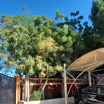 Mariam Kassim - Facebook