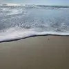 mariamkhatib71 - @mrmr61854 - TikTok