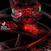 Mariam Lamb - @mariam.lamb38 - TikTok