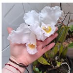 Mariam Perez - @mariam.perez.3557 - Instagram