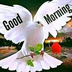 Bello Mariam - Facebook