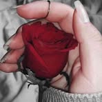 Mariam Saied - Facebook