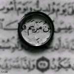 mariam salam - @z_lbstn2025 - Instagram