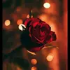 mariam scott - @mariamscott10 - TikTok