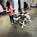 Mariam Sharp - Facebook