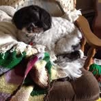 Mariam Shepherd Jackson - Facebook