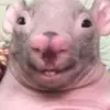 mariam - @mariam.warner - TikTok