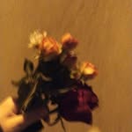 Mariam Yehya - @mariemyehya8 - Instagram