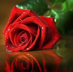 Mariamma Chandy - Facebook