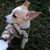 MARIAN ALVAREZ - @marian.alvarez56 - TikTok