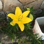 Marian Armstrong - @warmstong3813 - Instagram