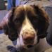 Marian Armstrong - Facebook