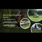 Alice - @marianbachequestrian - Instagram