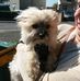 Marion Beasley - Facebook