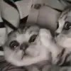 marianbecerra09 - @marianbecerra09 - TikTok