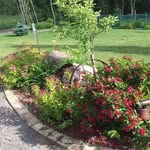 Marian Bennett - @marian.bennett.7921 - Instagram