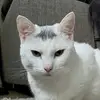 marianbiggs - @marianbiggs - TikTok