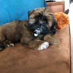 Marian Bouma - @marianbou76 - Instagram