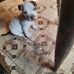 Marianne Boyer - Facebook