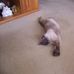 Marian Burrows - Facebook
