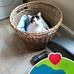 Marianne Conboy - Facebook