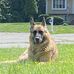 Marianne Conboy - Facebook