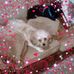 Marian Conroy Crooker - Facebook