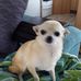 Marion Cooley - Facebook