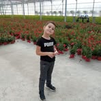 Marian Daniel - Facebook