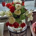 Marianne Dodge - @mariannedodge - Instagram