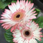 Marianne Neyland Dodgen - @marianne_dodgen - Instagram