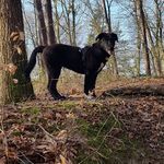 marianne donners - @mariannedonners - Instagram