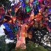 Mary Ann Douglas - @maryanndouglas1 - TikTok