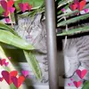 Susan Duffy-Marianni - @susan.duffymarian - TikTok