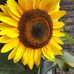 Marian Van Eck - Facebook