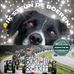Marian van Eck - Facebook