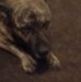 Marion Eldridge - Facebook