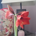 Marian Fitzpatrick Dezell - @mariandezell - Instagram