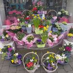 Rocamaer Flowers - @marianfitzpatrick27 - Instagram