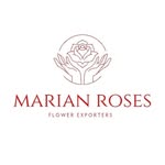 Marian Roses - @marian_flowers_ - Instagram