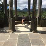 Marian Forde - @marianforde - Instagram