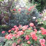 Marian Giles - @marian.giles.589 - Instagram